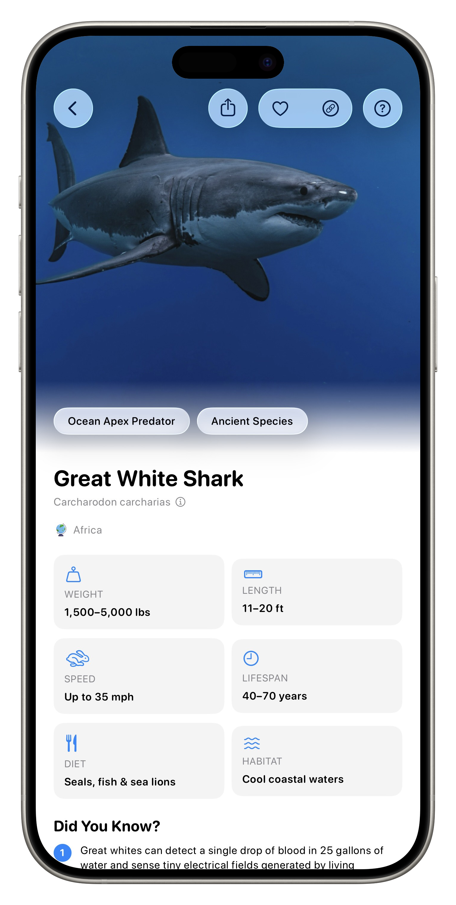 Fauna App Screenshot